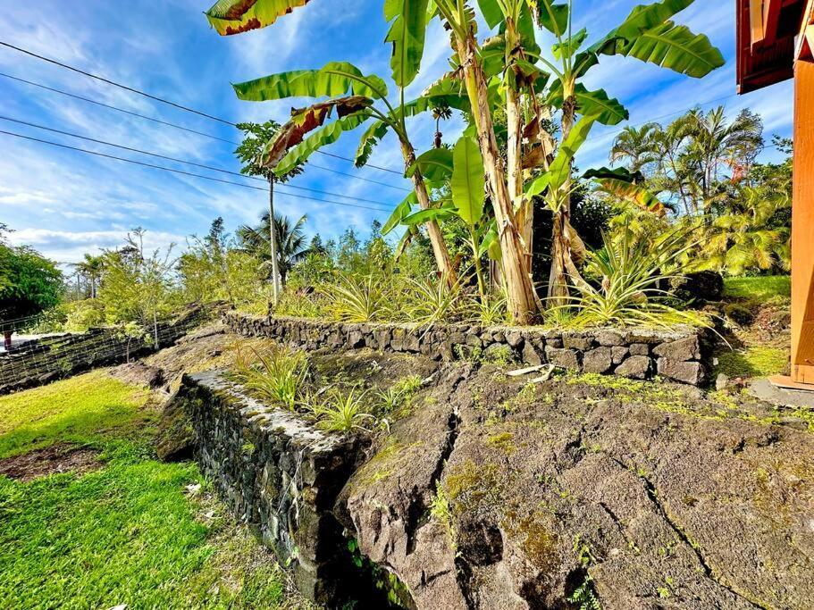 Puna Zen Botanical Garden Retreat ケアアウ エクステリア 写真